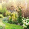 Afbeelding van Outsunny Rankhulp van ijzer 38L x 0,8B x 98H cm - Zwart