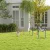 Afbeelding van PawHut Agility Set voor Honden, 4-delig met Verstelbare Hurdles en Accessoires