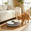Afbeelding van PawHut Draadloze Voederautomaat met Programmeerbare Timer voor Katten en Honden
