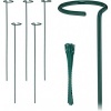 Afbeelding van Set van 6 plantensteunen met ring - 60 cm - inclusief plantenbinders - groen