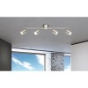 Afbeelding van Globo Comore nikkel metalen opbouwspot met LED 56958-4