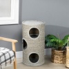 Afbeelding van PawHut Kat klimframe met sisal, comfortabel platform - lichtgrijs