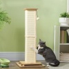 Afbeelding van PawHut 3-in-1 Krabpaal voor Kittens, 67 cm met Sisal, Trackball en Hangbal