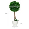 Afbeelding van HOMCOM Kunstplanten, set van 2 UV-bestendige kunstplanten, 60 cm buxusbomen, kamerplant in bloempot,