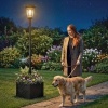 Afbeelding van Outsunny Zwarte Buitenlamp met Zonnepaneel - 41,5 x 41,5 x 195 cm