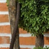 Afbeelding van HOMCOM Kunstplant van kunststof en cement, 19,5x19,5x115 cm, groen