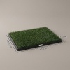 Afbeelding van PawHut Honden Toilet - Kunststof - 63 x 50,5 x 3,5 cm - Zwart