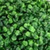 Afbeelding van HOMCOM - Kunstplant Buxus - Set van 2
