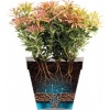 Afbeelding van Elho Loft Urban Rond 40 - Buitenbloempot - Ø 38,5 x H 35,3 cm - Warm grijs