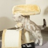 Afbeelding van PawHut Krabpaal 104 cm met kattenhol, speelbal en 2 ligvlakken, grijs