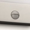 Afbeelding van Philips Raccoon buitenwandlamp met sensor - 1 licht - RVS