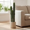 Afbeelding van Homcom Kunstplant - Kunststof - 22L x 22B x 95H cm - Groen