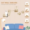 Afbeelding van PawHut 3-delig kattenklimwand set met krabplank, sprongplaten en speelbal, beige