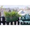 Afbeelding van Elho Greenville Easy Balkonbak 52 - 100% Gerecycled Plastic - Blad groen