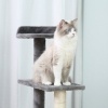 Afbeelding van PawHut 5-laags kattenklim- en krabboom met sisal - beige