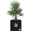 Afbeelding van Elho Vivo Next Vierkant 30 - Plantenbak voor Binnen & Buiten - 100% Gerecycled - 29,5 x 29,5 cm - Li