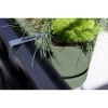 Afbeelding van Elho Greenville Easy Balkonbak 52 - 100% Gerecycled Plastic - Blad groen