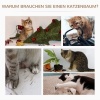 Afbeelding van PawHut kattenboom klimboom grijs Ø 40 x h 65 cm