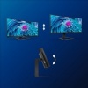 Afbeelding van Philips 346E2CUAE - QHD Curved Ultrawide Monitor - USB-C 65W - 34 Inch