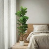 Afbeelding van Homcom Kunstplant - Kunststof - 50L x 50B x 150H cm - Groen