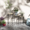 Afbeelding van Outsunny Bloemenstandaard Set met Gevlochten Plank 84H-038V00