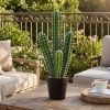 Afbeelding van Homcom Kunstplant van Kunststof - 13L x 13B x 53H cm - Groen