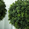 Afbeelding van HOMCOM Kunststof Kunstmatige Topiaries 10x10x45 cm Groen