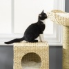 Afbeelding van PawHut Kratzboom 100,5 cm met kattenhuis, bed, trap en sisal kratzuilen, voor katten tot 4,5 kg