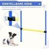 Afbeelding van PawHut Honden behendigheidstunnel slalom oefening hondensport set 2 modellen D07-004