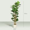 Afbeelding van Homcom Kunstplant - Kunststof - 50L x 50B x 150H cm - Groen