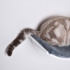 Afbeelding van PawHut Kattenbed met wandplank en pluchen bekleding, bruin MDF