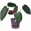 Afbeelding van Elho Greenville Rond 40 - Grote Buitenbloempot met Waterreservoir - Vintage pruim