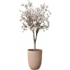 Afbeelding van Elho Sereh Hoog 40 - Bloempot voor Binnen & Buiten - 100% Gerecycled Plastic - Ø 39 x H 53,4 cm