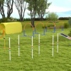 Afbeelding van PawHut Honden slalompalen voor behendigheidstraining met tas - Wit en blauw
