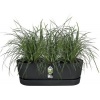 Afbeelding van Elho Greenville Easy Balkonbak 52 - 100% Gerecycled Plastic - Living zwart