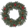 Afbeelding van HOMCOM Kerstkrans PE Ø60 x 8T cm Groen