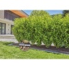 Afbeelding van GARDENA Micro-Drip systeem Complete bewateringsset 13 mm (1/2) Ø - 13500-20