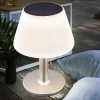 Afbeelding van Solar tafellamp voor buiten, IP44 waterdicht, RVS wit, 10x LED warm wit, 19,5x28 cm