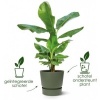 Afbeelding van Elho Greenville Rond 40 - Grote Buitenbloempot met Waterreservoir - Vintage pruim