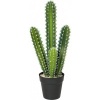 Afbeelding van Homcom Kunstplant van Kunststof - 13L x 13B x 53H cm - Groen