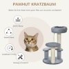 Afbeelding van PawHut kattenboom klimboom grijs Ø 40 x h 65 cm