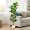 Afbeelding van Homcom Kunstplant - Kunststof - 50L x 50B x 150H cm - Groen