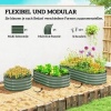 Afbeelding van Outsunny Tuinbed - Verzinkt staal - 150L x 62B x 30H cm - Groen