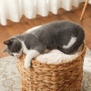 Afbeelding van PawHut Kratztonne 50 cm - Katzentoren met 2 holen en kussen, waterhyacint, voor katten tot 3,5 kg, l
