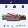 Afbeelding van Zelesta Groovebed Dekbed Zonder Overtrek - Hypoallergeen Teddystof (Taupe, 200x200 cm)