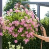 Afbeelding van GARDENA Comfort Spuitpistool met Verlengstuk