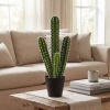 Afbeelding van Homcom Kunstplant van Kunststof - 13L x 13B x 53H cm - Groen