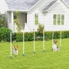 Afbeelding van PawHut Honden slalompalen voor behendigheidstraining met tas - Wit en blauw