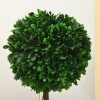 Afbeelding van HOMCOM Kunstplanten, set van 2 UV-bestendige kunstplanten, 60 cm buxusbomen, kamerplant in bloempot,