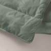 Afbeelding van Zelesta® Everyday Uni Pastel Groen 240x200cm - Hoesloos Dekbed - 30 Dagen Proefslapen